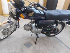 honda cd 70 2024