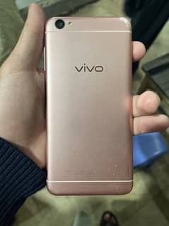 vivo brand