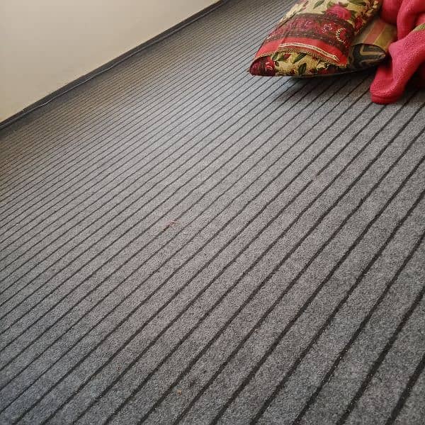 Carpet with Carpet Foam in Good Condition 0