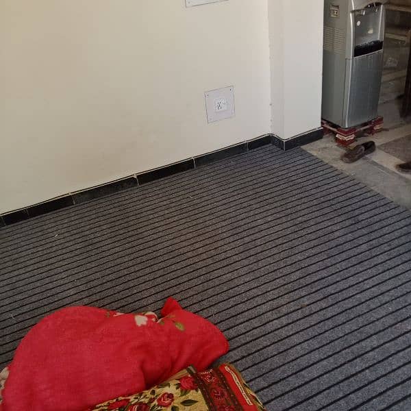 Carpet with Carpet Foam in Good Condition 4