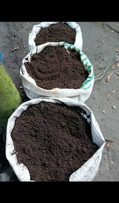 Worms and Vermicompost Fertilizer for sale