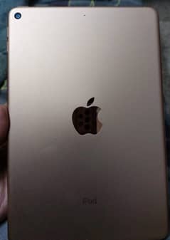 Ipad mini 5