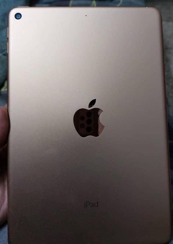 Ipad mini 5 0