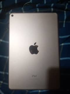 Ipad Mini 5