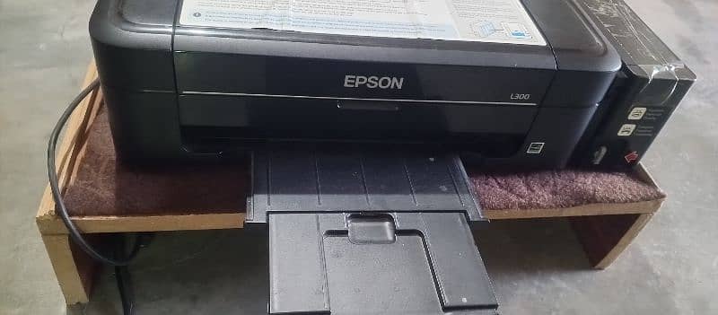 Epson l300 5