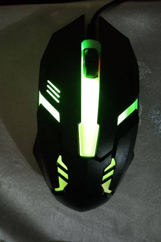 RGB mouse 1