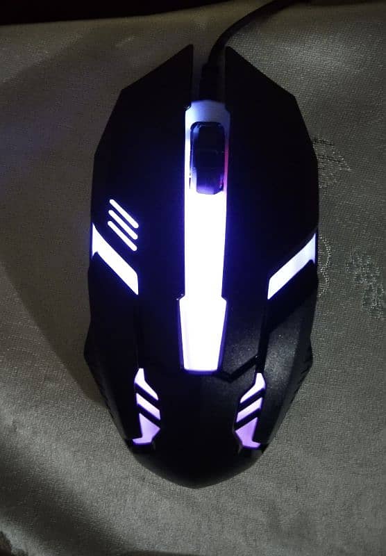 RGB mouse 3