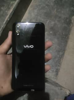 vivo