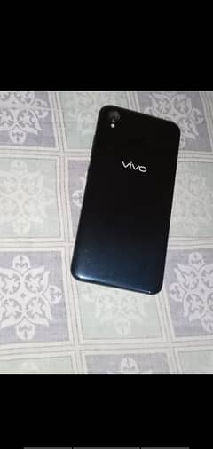 Vivo