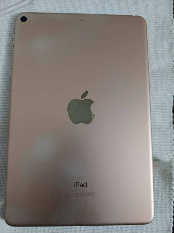 ipad mini 5 Gold 1