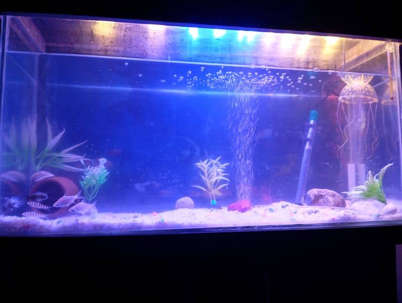 aquarium with truly new condition 7