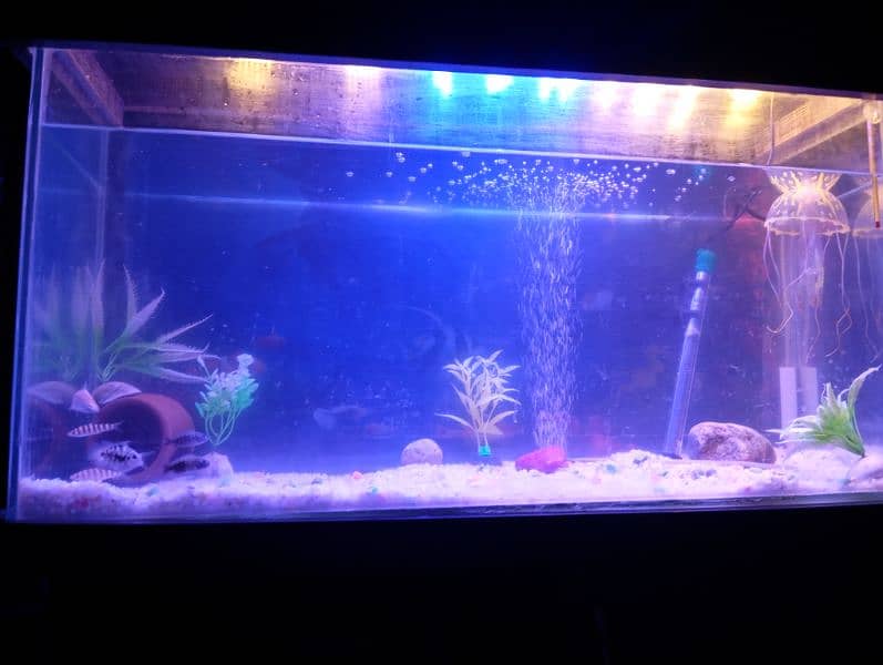 aquarium with truly new condition 8