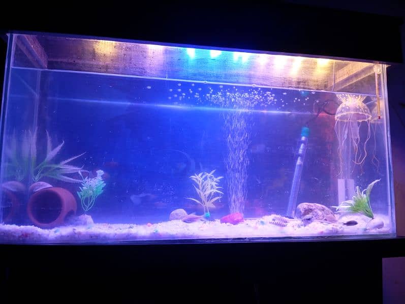 aquarium with truly new condition 9