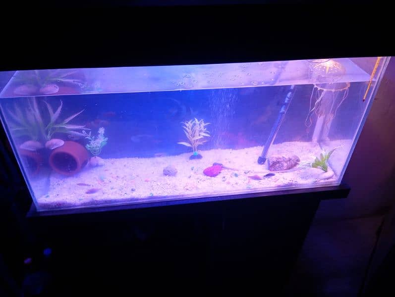 aquarium with truly new condition 11