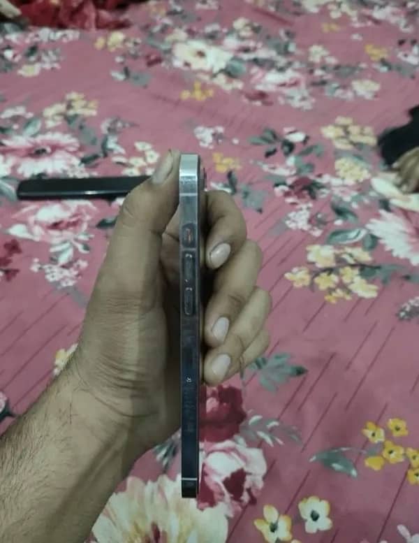 12 pro max factory unclok 256gb 3