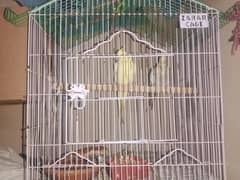 cocktail and finch for sale with cage 03025499668