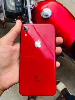 i phone Xr non pta jv 64gb waterpack lush condition