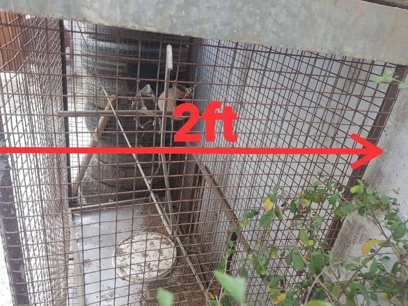 cages for sale | pinjra fir sale 2