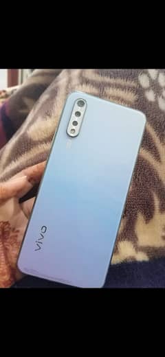 vivo