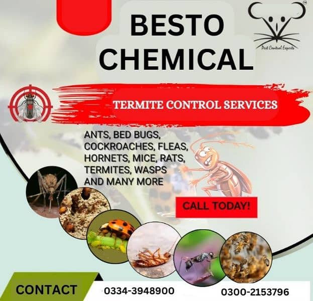 Termite Treatment | Bedbugs | Cockroach | Pest Control Services 4