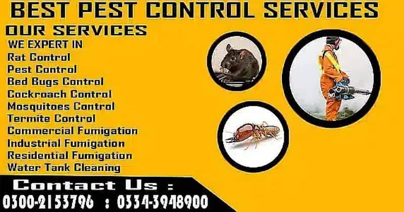 Termite Treatment | Bedbugs | Cockroach | Pest Control Services 5