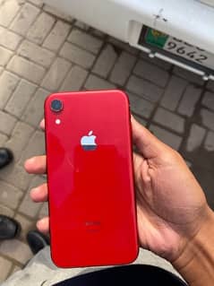 iPhone XR