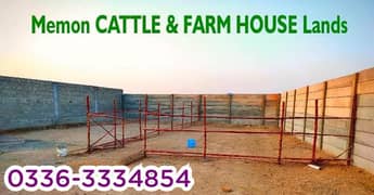 Cattle and Farmhouse Land