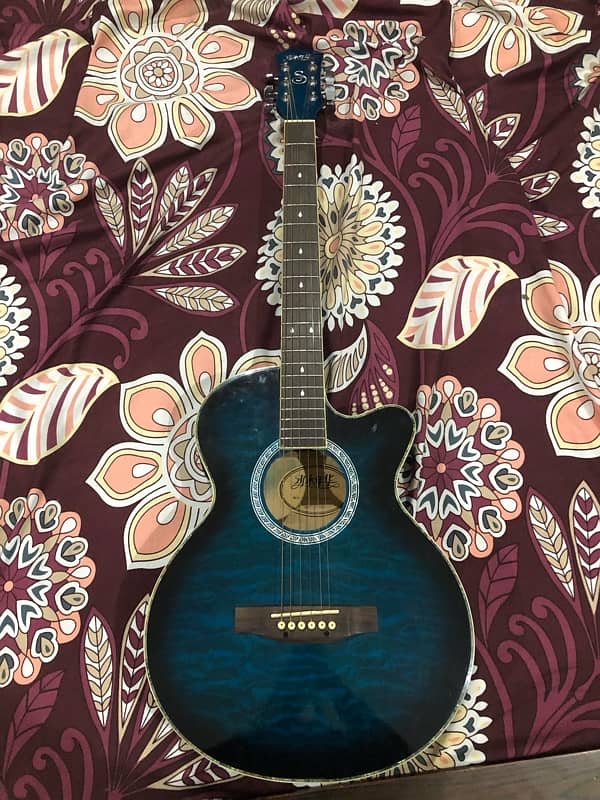 Semi Acoustic Guitar (Read Ad) 3