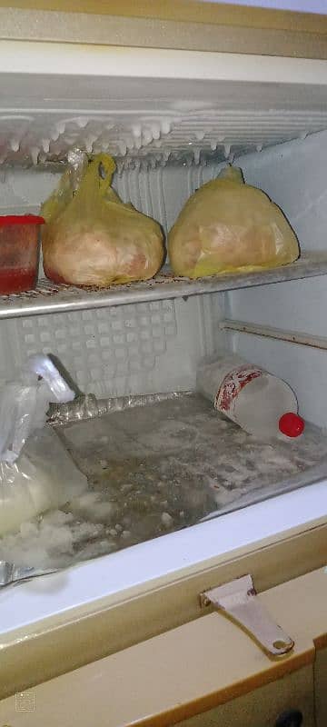 fridge 3