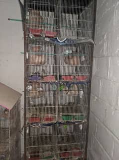 cage with pair