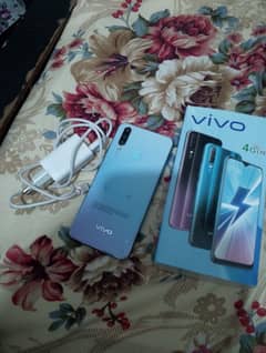 vivo