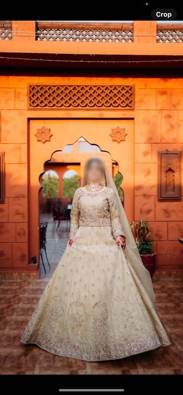 bridal Lehnga choli 2