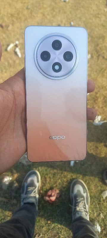 oppo reno 12f 8/256 5