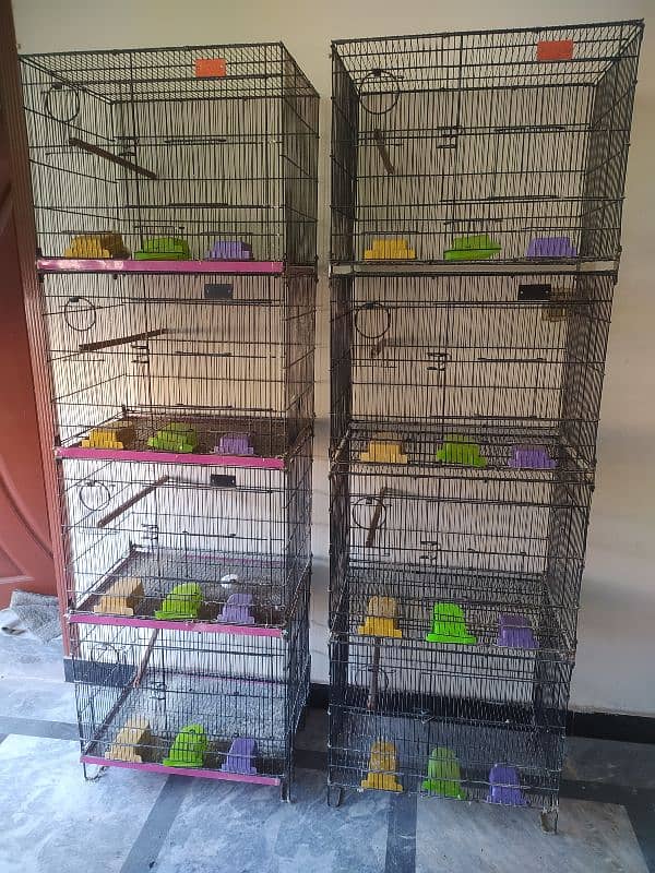 Folding cage with complete accessories for sale 1