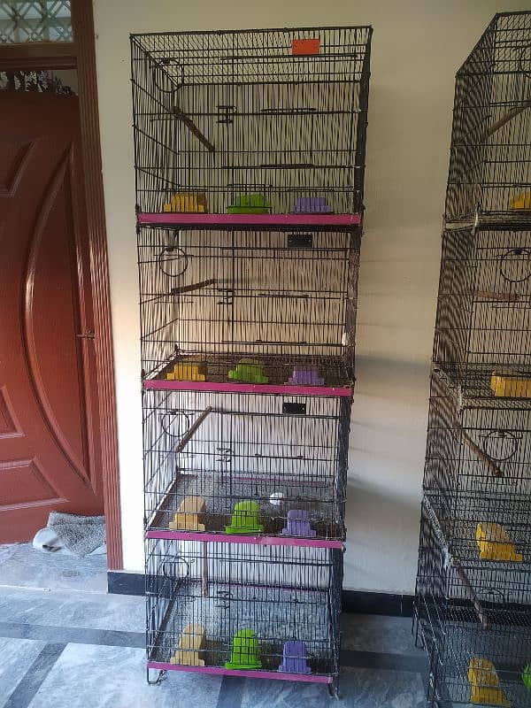 Folding cage with complete accessories for sale 2