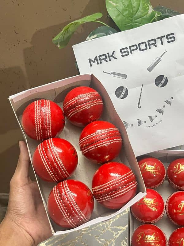 Cricket Hardballs 1