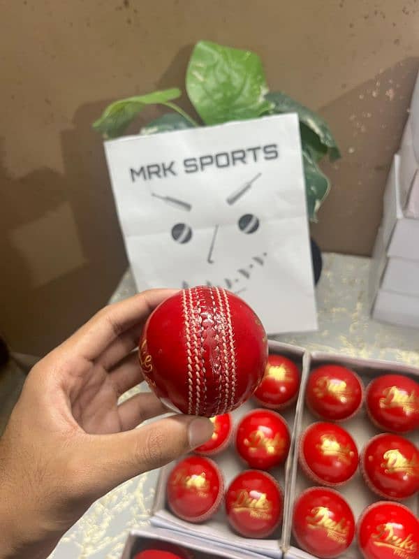 Cricket Hardballs 3