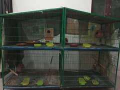 Large parrots cage for sale 4 big portions