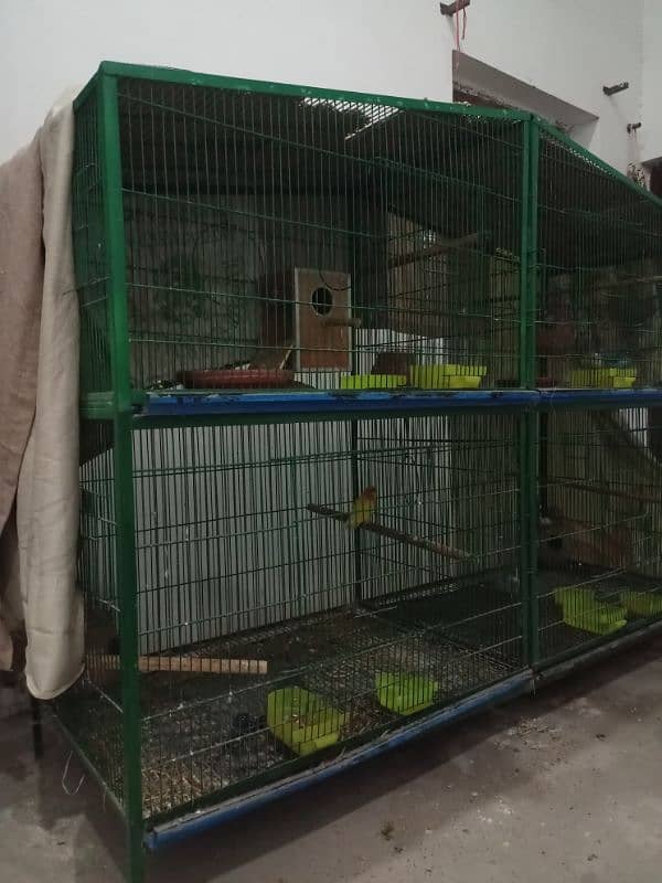 Large parrots cage for sale 4 big portions 1