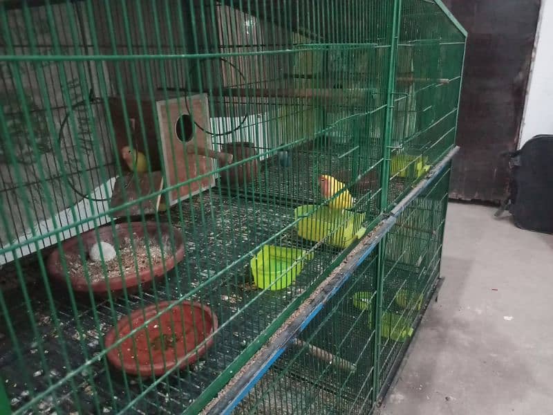 Large parrots cage for sale 4 big portions 4