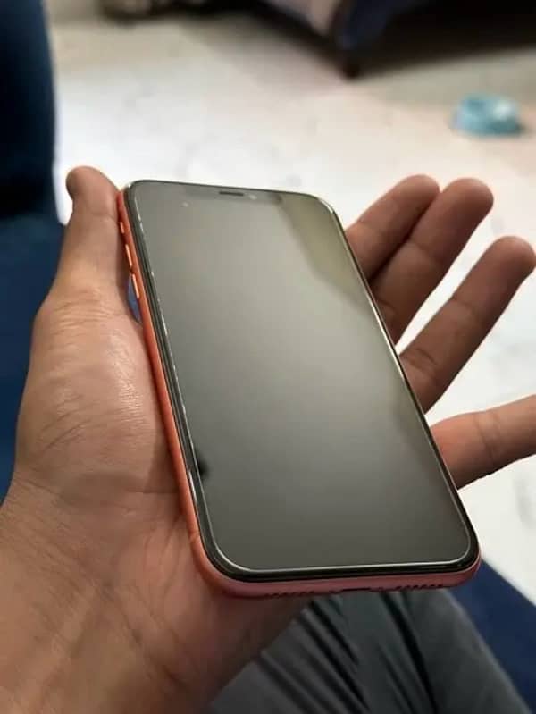 iphone xr 6