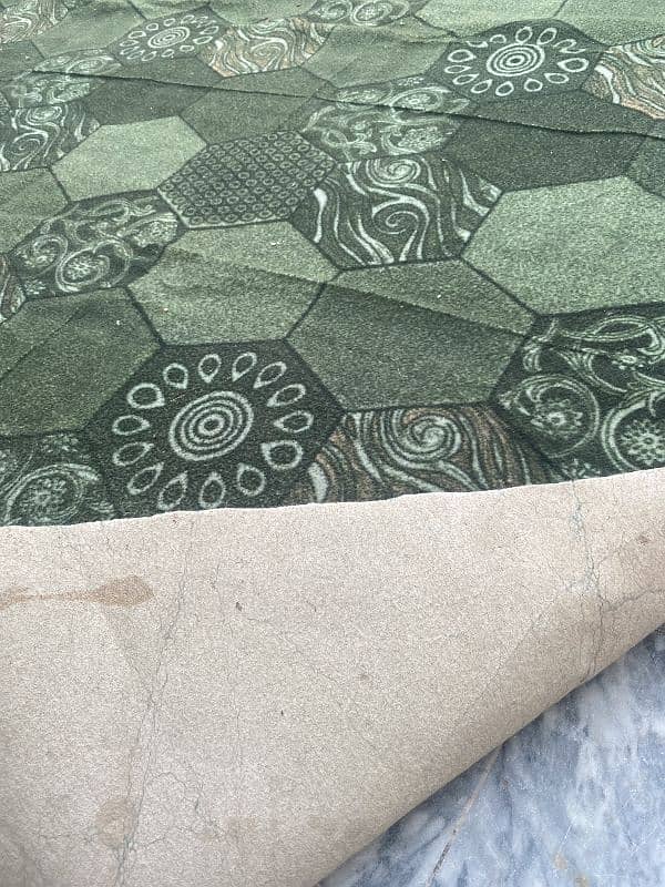 10 by 10 green printed carpet 3