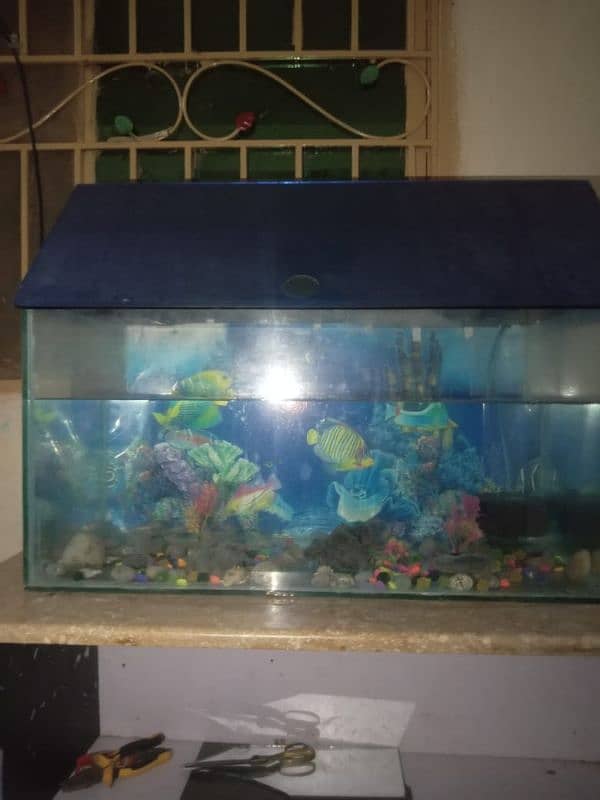 aquarium for sale with almost 15 fish. 3