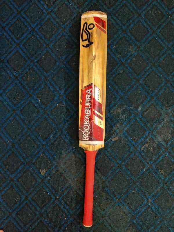 Kookaburra Kahuna (red) English Willow Bat With 8+ Grains. 4