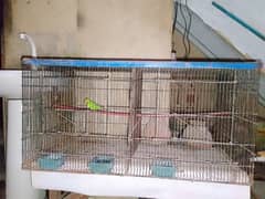 Brids cage