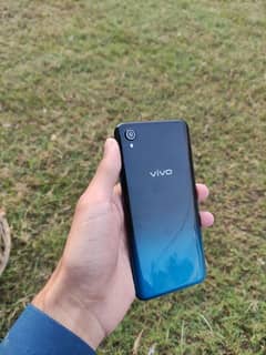 vivo