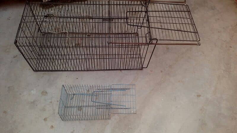 Animals Cage 1