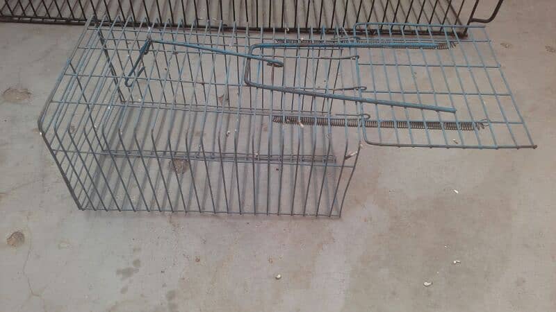 Animals Cage 3