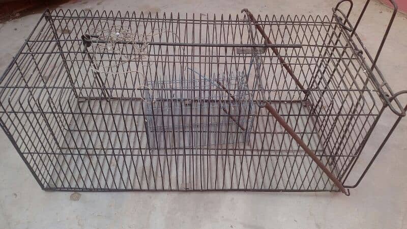 Animals Cage 7