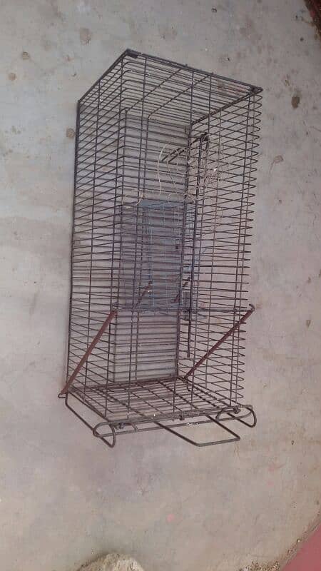 Animals Cage 9